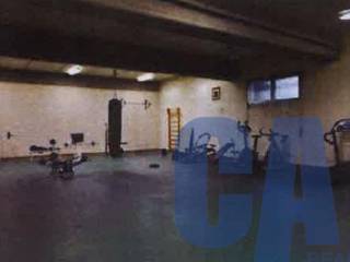 Palestra