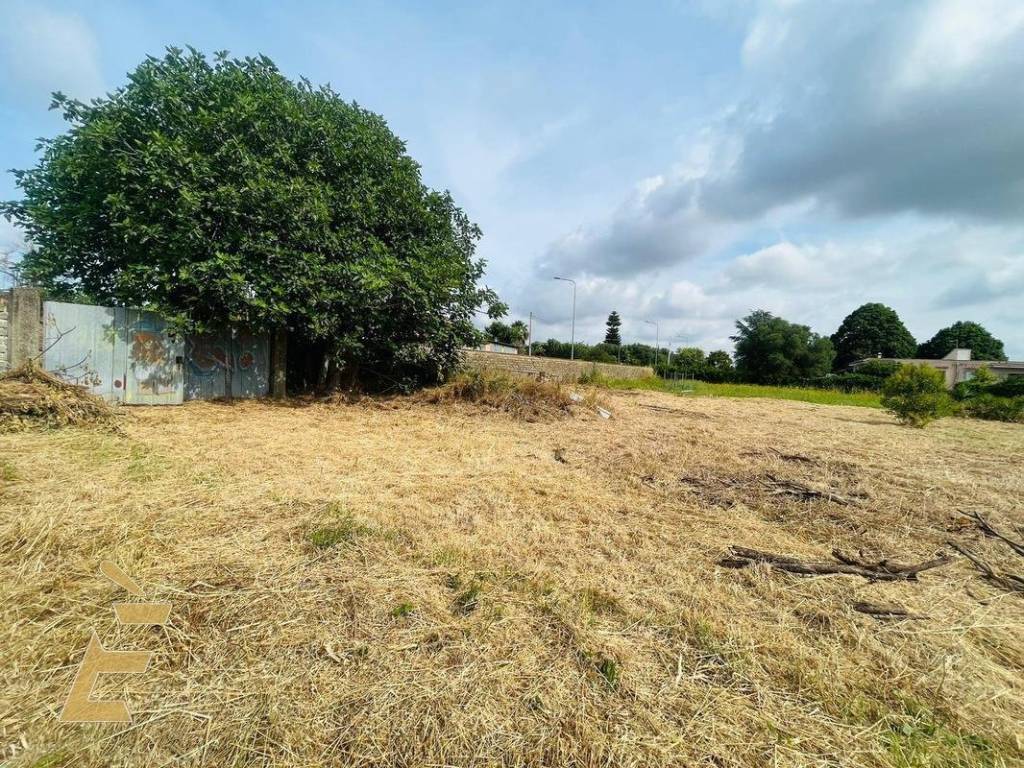 Terreno edificabile via carlo pisacane 6, campo di carne - pantanelle, aprilia