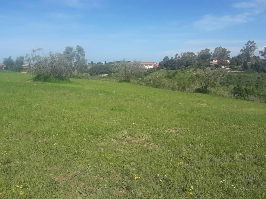 Terreno agricolo via delle gore, snc, la leccia, livorno