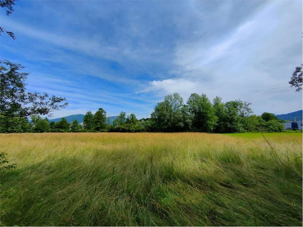 Terreno agricolo, sirone