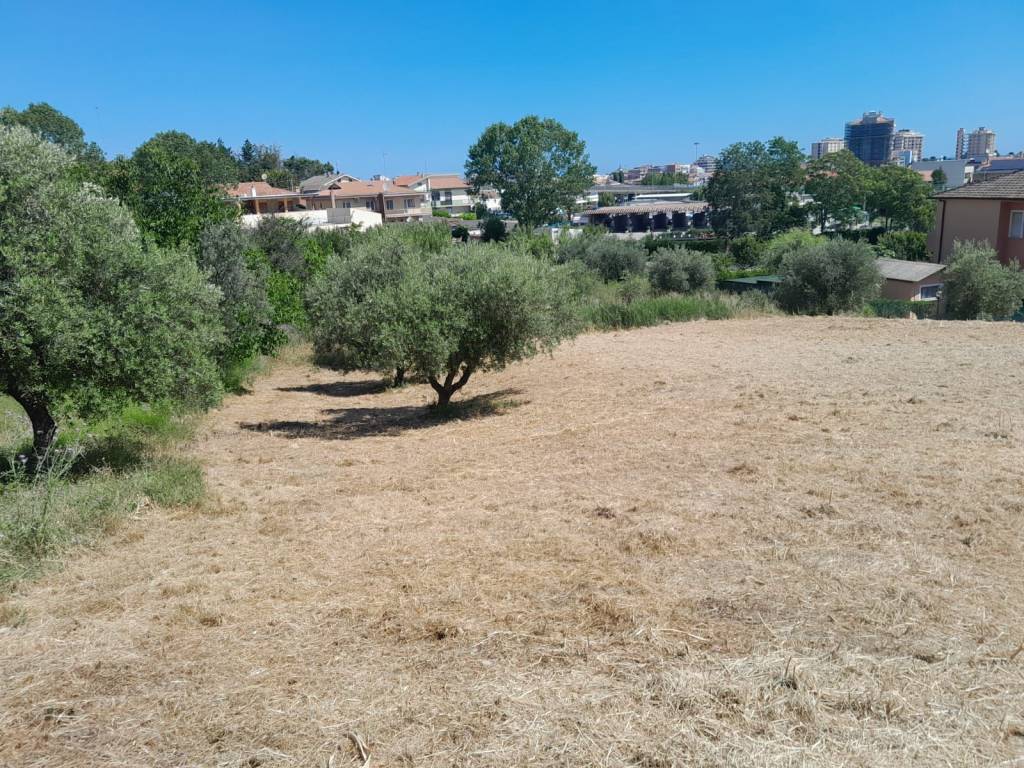 Terreno agricolo strada del palazzo, colle del telegrafo - colle scorrano, pescara