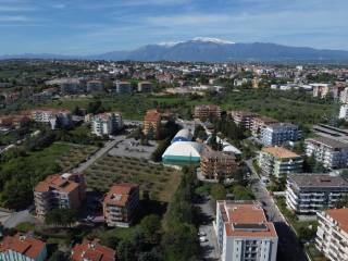Vista