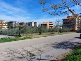 Zona