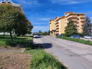 Zona