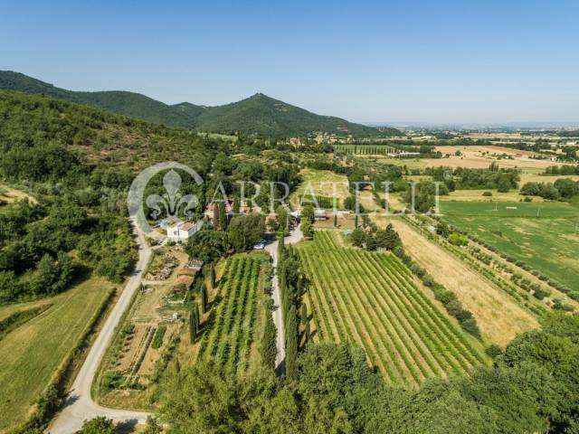 Azienda agricola e agriturismo a Tuoro sul Trasime