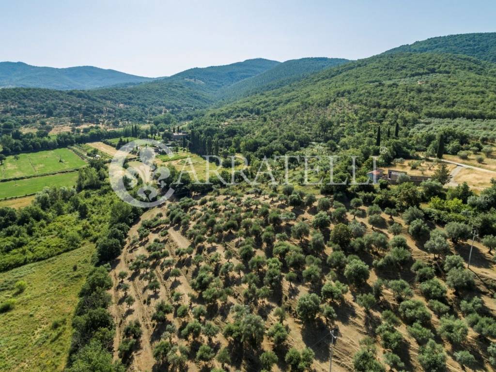 Azienda agricola e agriturismo a Tuoro sul Trasime