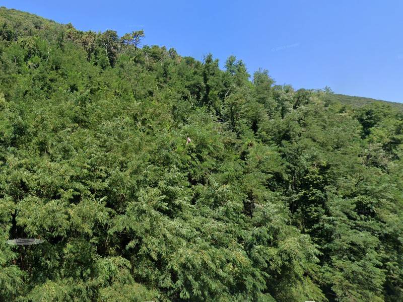 Terreno agricolo via sarzanese, chiatri - piazzano, lucca