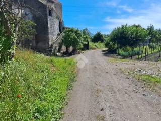 WhatsApp Image 2024-06-04 at 16.05.51 (1)