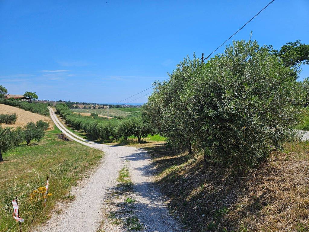 Terreno agricolo contrada san lorenzo, monte urano