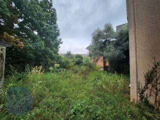 photo1695028155 (4)