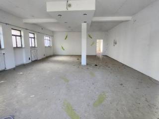 photo1695329739 (4)