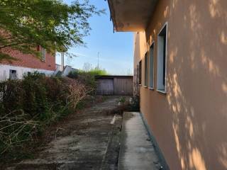 photo1695329739 (8)