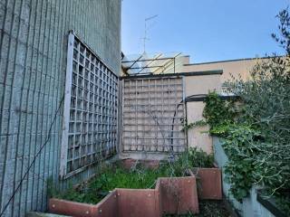 photo1695329741 (7)
