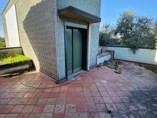 photo1695329747 (1)