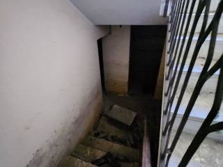 photo1695329747 (2)