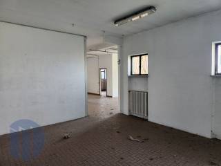 photo1695329749 (4)