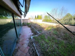 photo1695329749 (7)