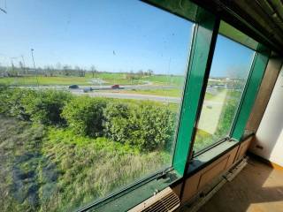 photo1695329751 (2)