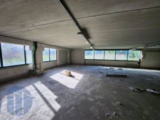 photo1695329767 (3)