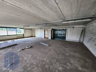 photo1695329767 (4)