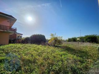 photo1695329767 (10)
