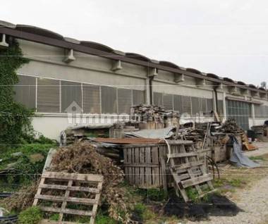 schermata 2024 06 07 alle 14 33 06