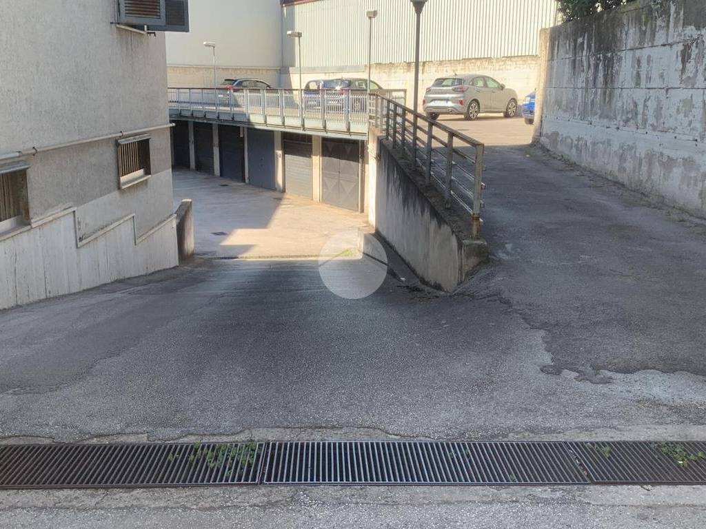 WhatsApp Image 2024-06-07 at 15.57.17