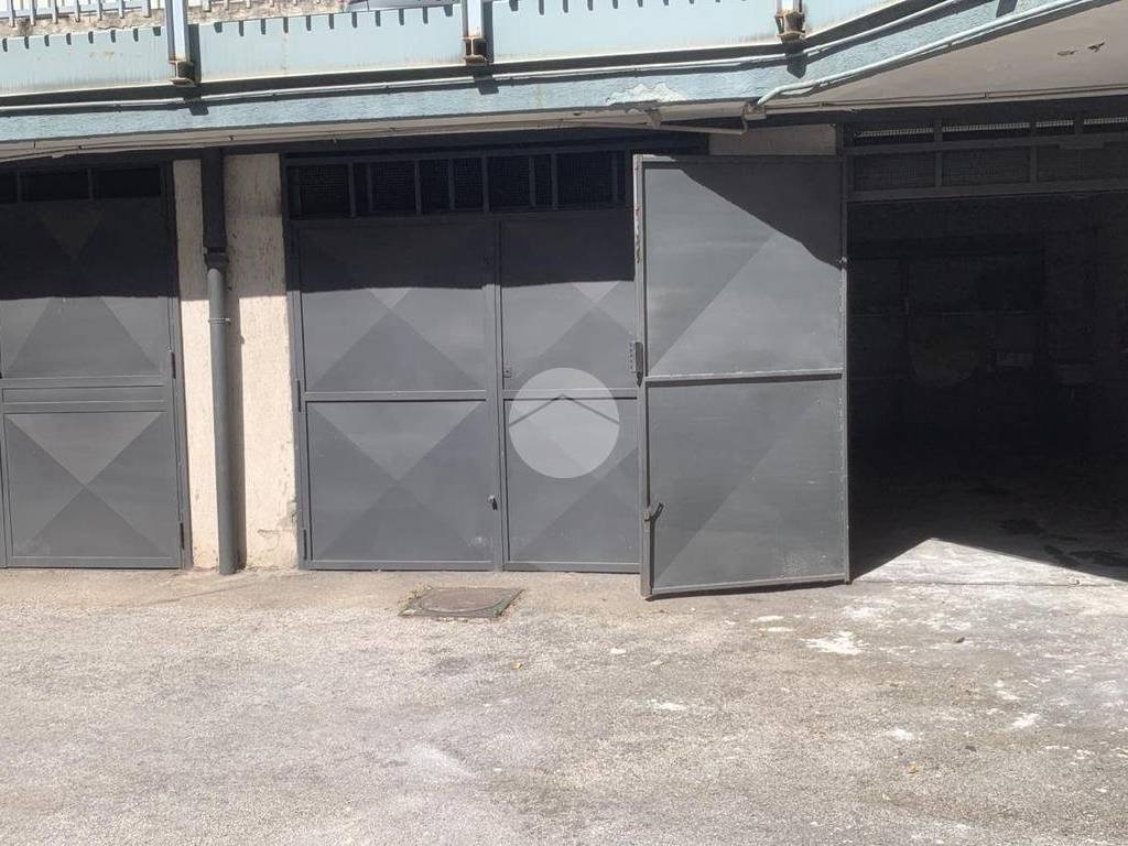 WhatsApp Image 2024-06-07 at 15.55.26