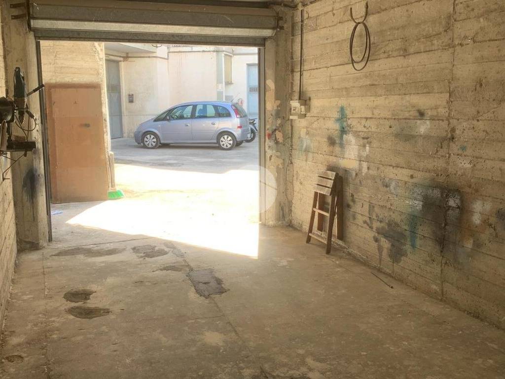 WhatsApp Image 2024-06-07 at 15.54.49 (1)