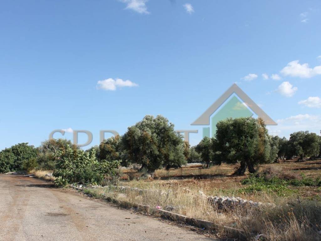 Terreno agricolo strada statale 16 uscita zona industriale, monopoli