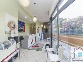 ingresso