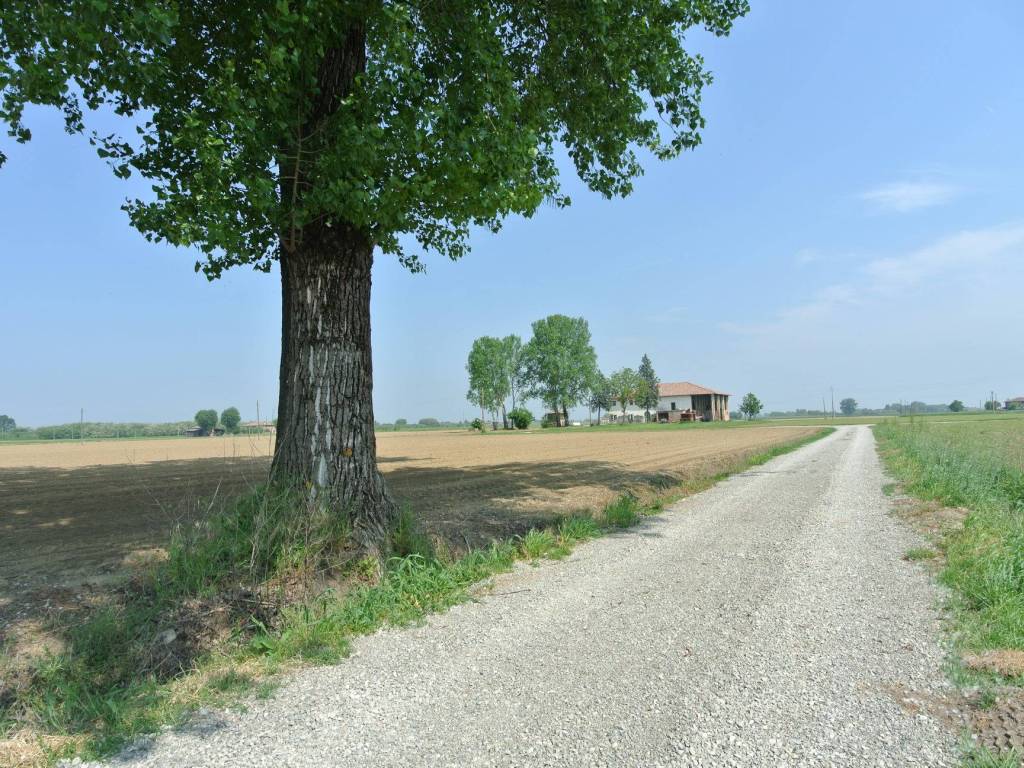 Terreno agricolo via canaletto, malalbergo