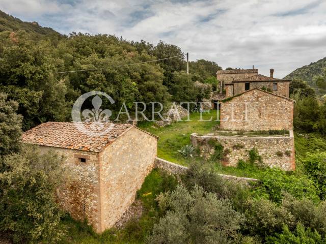 Casali da ristrutturare a Sovicille Siena