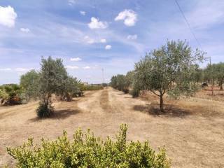 vista 1