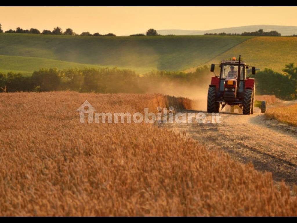 foto generica