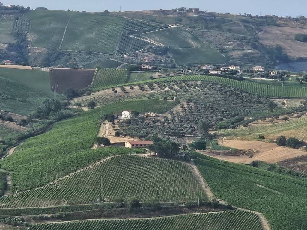 Terreno agricolo via sorripe 62, città sant'angelo