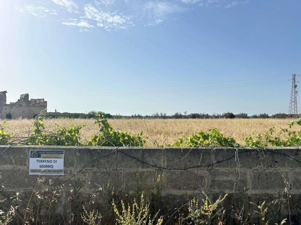 Terreno agricolo viale gallipoli, sannicola