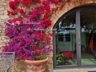 angolo della bouganville