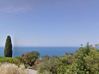 Vista