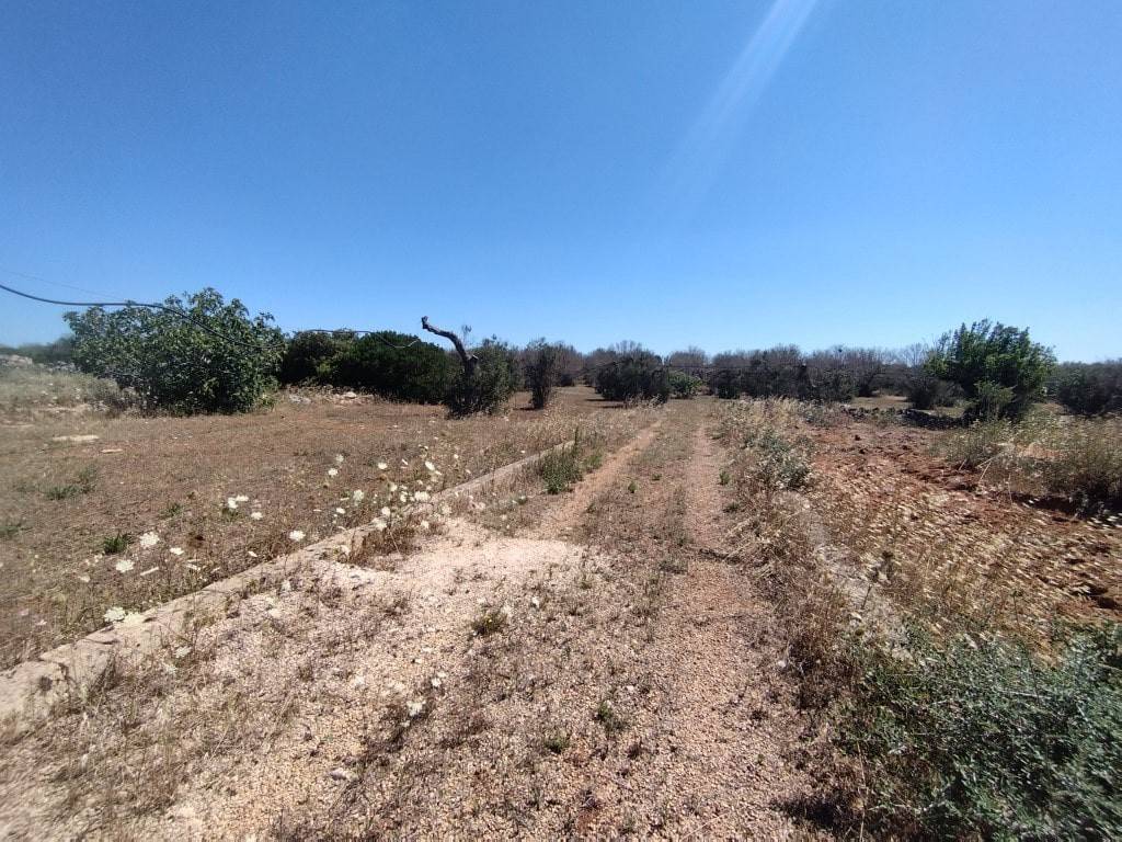 Terreno agricolo c.da cristo,, ugento