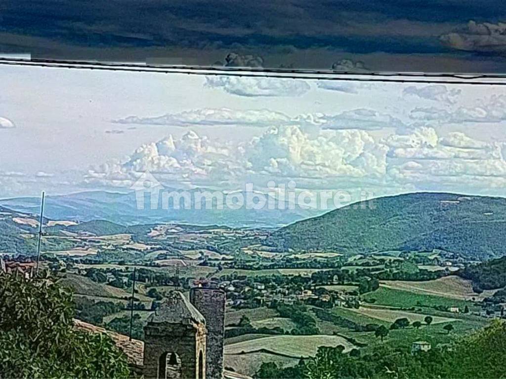 Vista