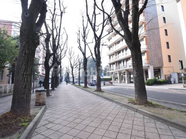 Viale