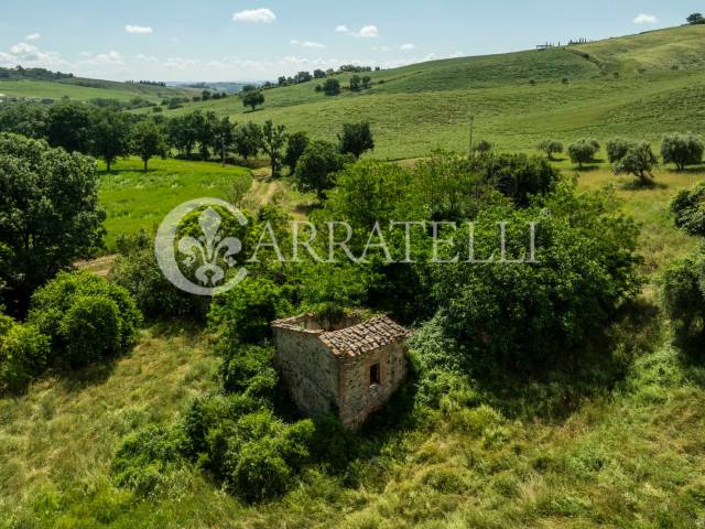 Rudere in campagna a Montefollonico