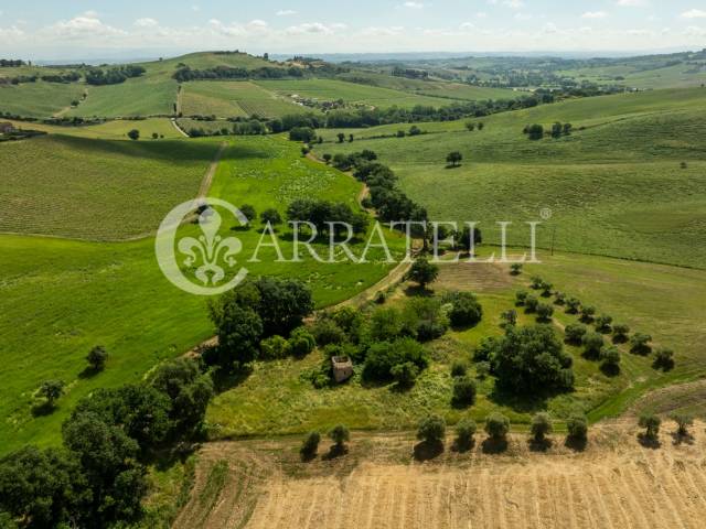 Rudere in campagna a Montefollonico