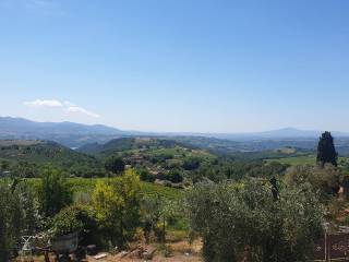 Vista