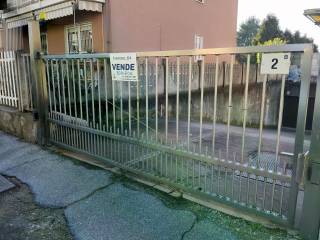 Zona