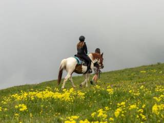 passeggiate-cavallo-valle-po-1920x0-c-default.jpg