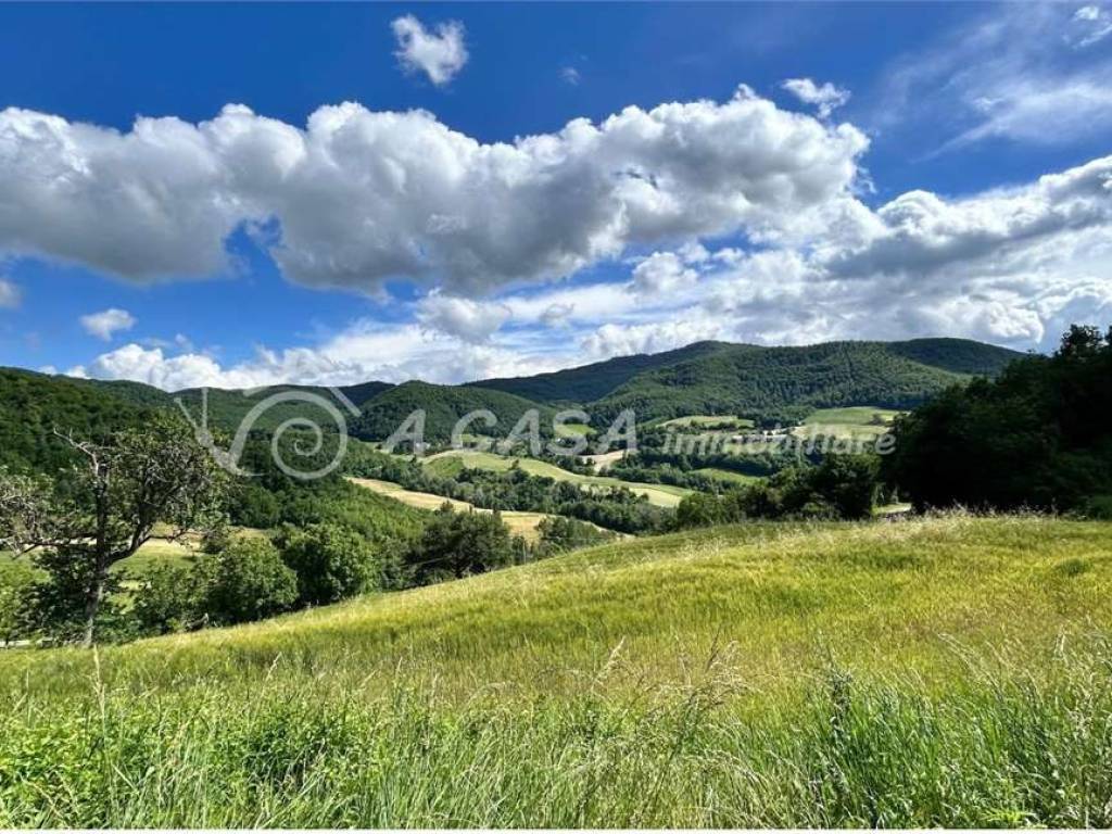 Terreno agricolo casanuova , 26, calestano