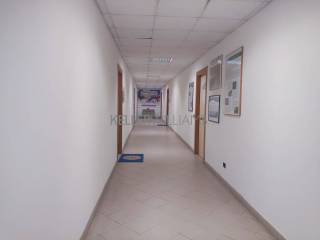 Ingresso