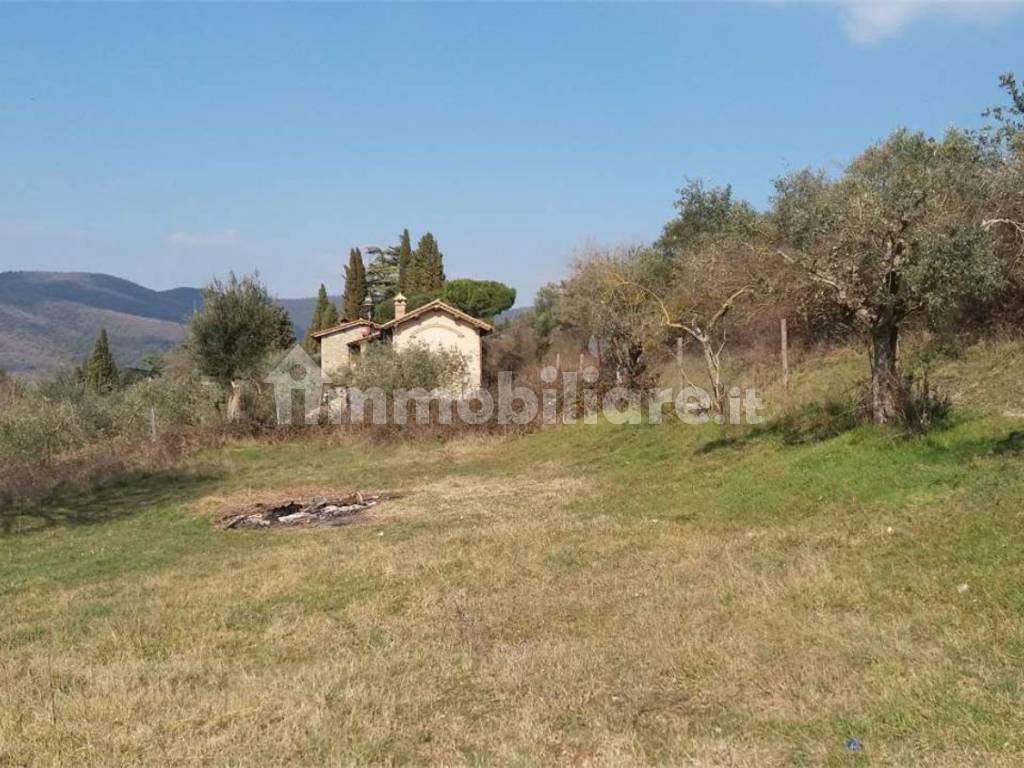 Terreno